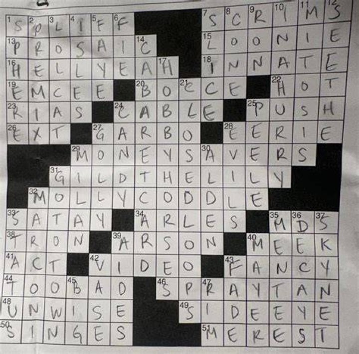 Zoom window Crossword Clue